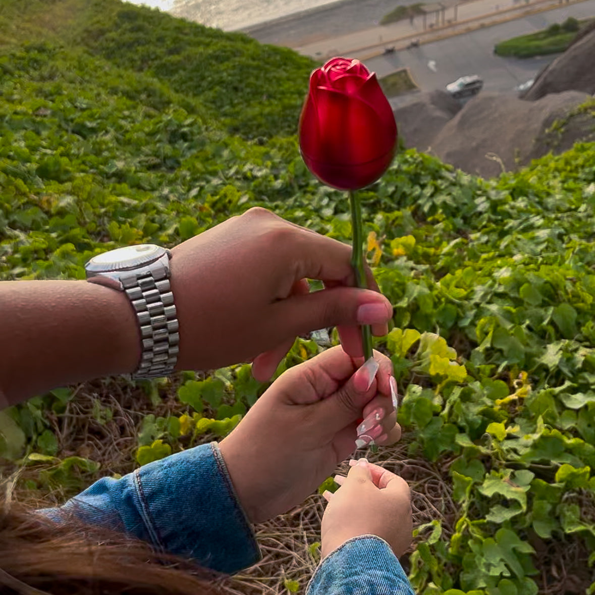 Rosa Eterna + Corazón de Fuego