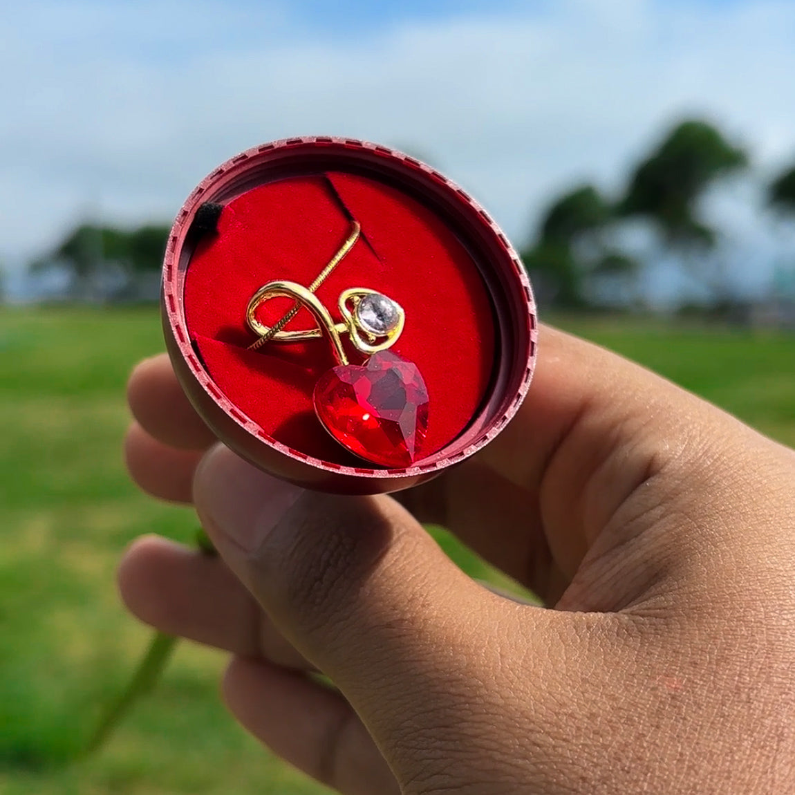 Rosa Eterna + Corazón de Fuego